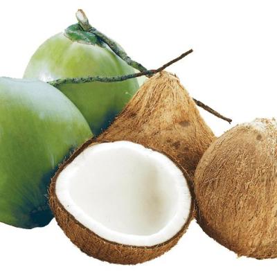 Coconut