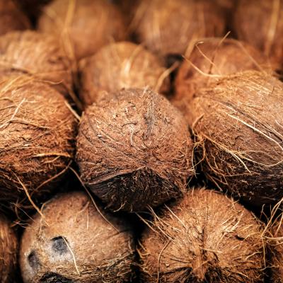Coconuts