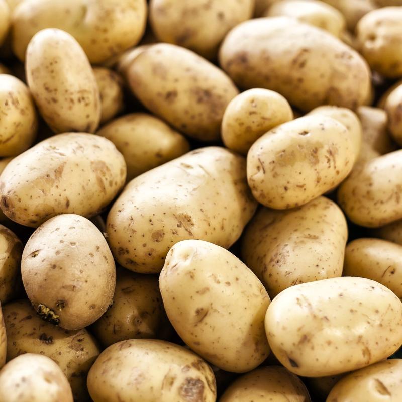 Potatoes